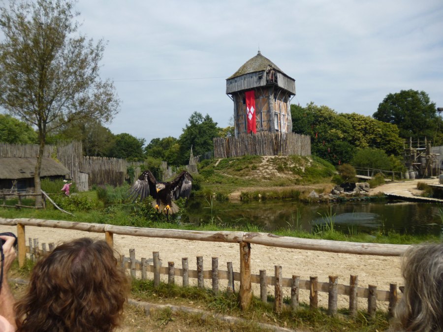 The Viking Castle that gets stormed and a huge eagle popping into visit at Puy du Fou